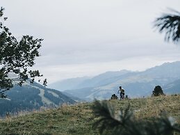 Residence Saalbach