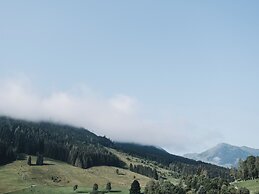 Residence Saalbach