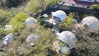 Tortuga Verde Glamping