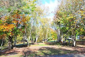 Fundy Spray Campground