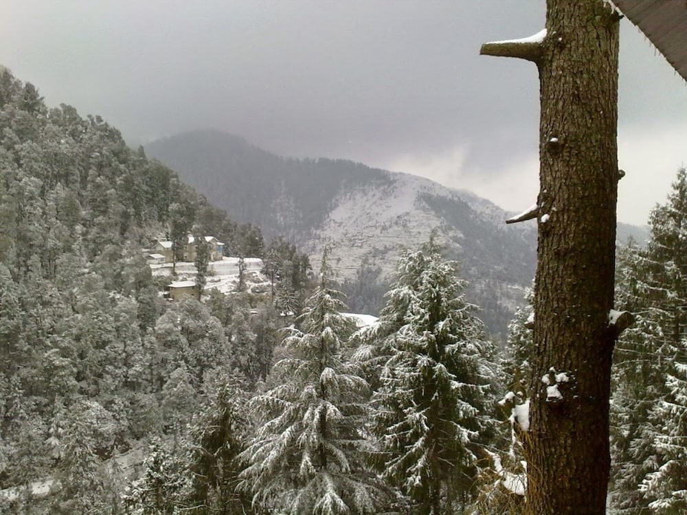 Hotel Megha View Dalhousie