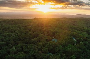 Mikumi Safari Lodge