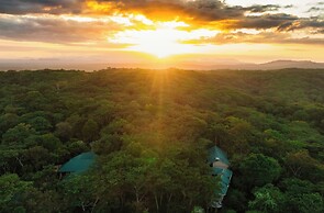 Mikumi Safari Lodge