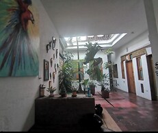 parrot house san antonio