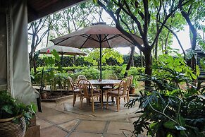 Desert Rose Resort
