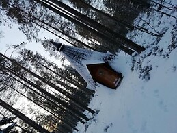 Old Pine Husky Lodge