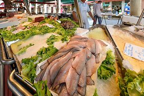 STUA Rialto-Market