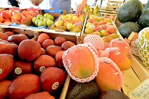 STUA Rialto-Market
