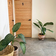 Casa 821