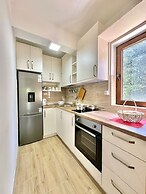 Central apartments Surina