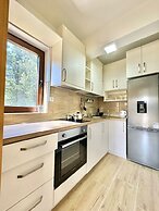 Central apartments Surina