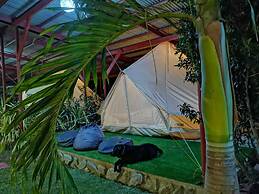 Glamping Alona
