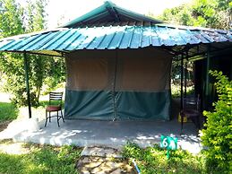 Miti Mingi Eco Camp