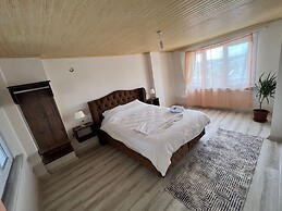 Airport Forest Room
