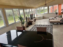 Airport Forest Room