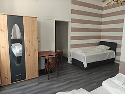 Hotel Viki