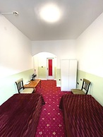 Hotel Viki