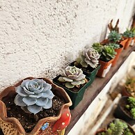 Cermeños House