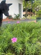 Homestay Tay