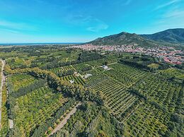 Luna & Limoni Country