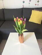 Apartments Roko