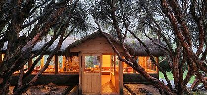Espeletia Lodge
