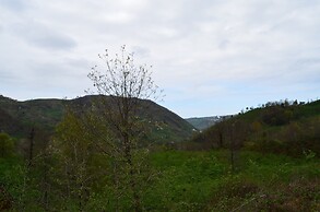Bigoşa Bungalov