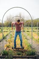 Milea Agritourism