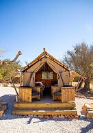 Oasis Surfcamp