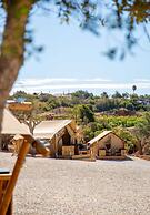 Oasis Surfcamp