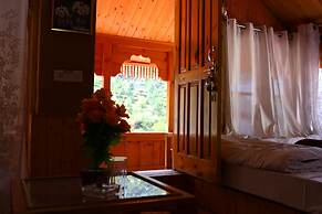 Tirthan Village Resort
