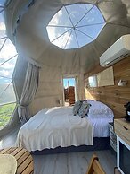 Berry Dome