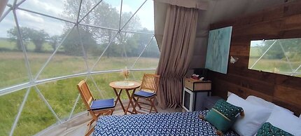 Berry Dome