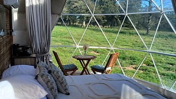 Berry Dome