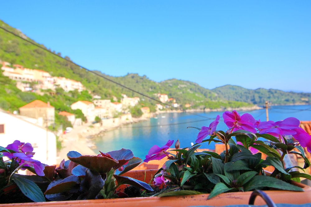 Apartment Mambo, Mljet