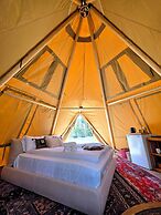NorGlamp