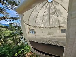 NorGlamp