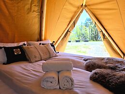 NorGlamp