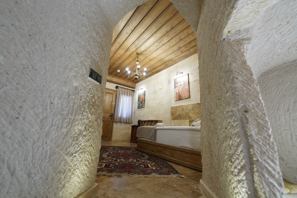 Library Cave Hotel