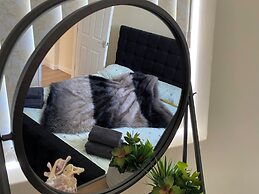 Apartment Sleeps 4, Free Parking, Pets Welcome