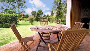 Eucaliptos Med Spa