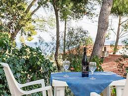 Apartments Villa Pelegrin