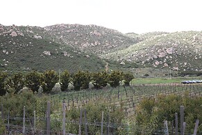 Casa Luna Viñedo