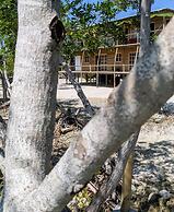 Hostel villa luz beach