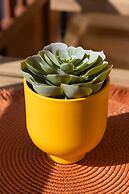 Casa Checha Coastal Charm Just Steps From the Beach