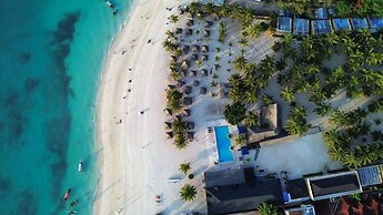 Two Palms