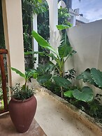 Two Palms