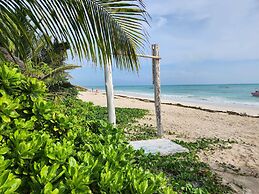 Two Palms