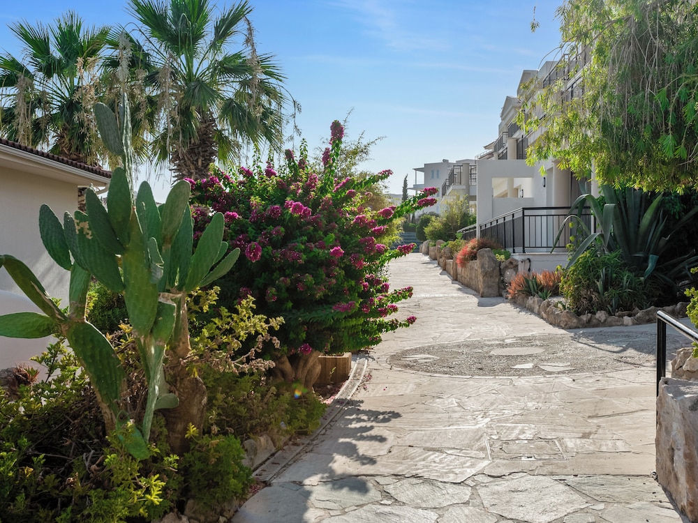 Sanders Seaview Paphos
