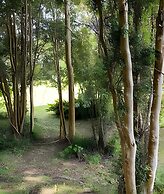 Cabañas Los Notros Puerto Varas